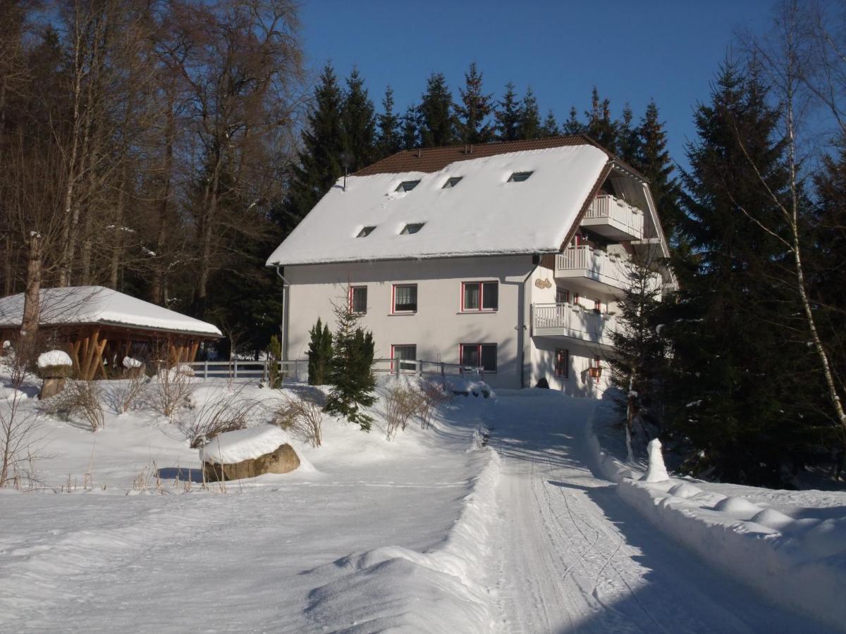 Ferienhaus Hubertus In Elend Mit Balkons Экстерьер фото